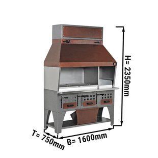 Настенный гриль на древесном угле GGM Gastro WGE16