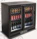Шкаф холодильный Tecfrigo Pub 250PS